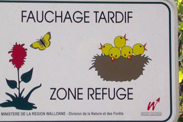 Fauchage tardif