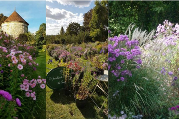 Le jardin de campagne