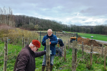 La vigne de Grisy au printemps 2024