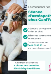 Ostéopathe animalier