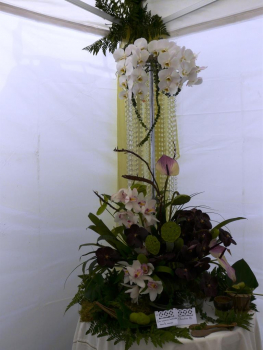 Concours d'art floral du 21ème marché aux fleurs de Grisy-les-Plâtres : 1er prix.