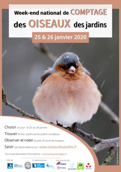 Comptage des oiseaux 25 et 26 janvier 2020.