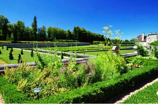 Ceuillette et dégustation de plantes sauvages du Domaine de Villarceuax.