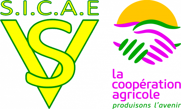 Logo SICAE-VS