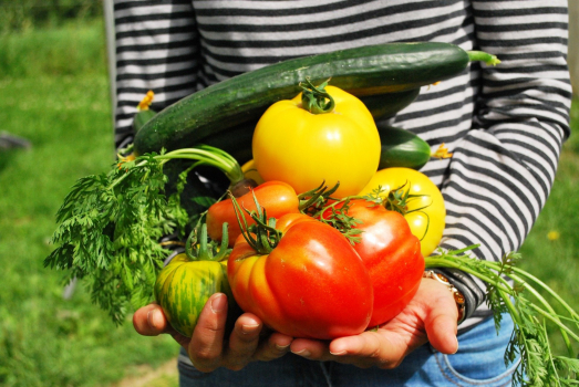 Livraison légumes et fruits " Jardins d'Aurélie ".