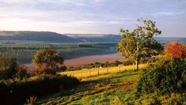 Parc naturel régional du Vexin français