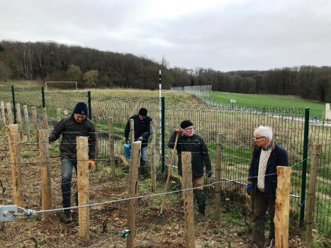 Vigne des Maurois plantation de 50 nouveau ceps 220321