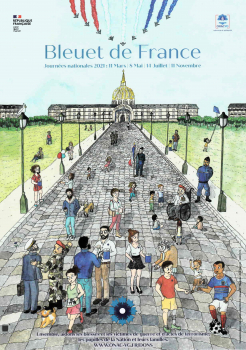 Bleuet de France
