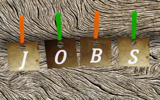 Offres d'emplois