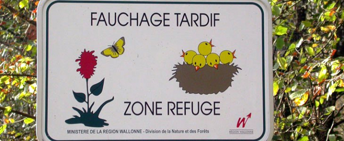 Fauchage tardif