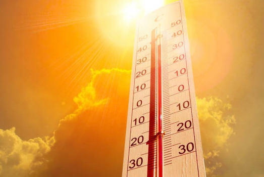 Canicule
