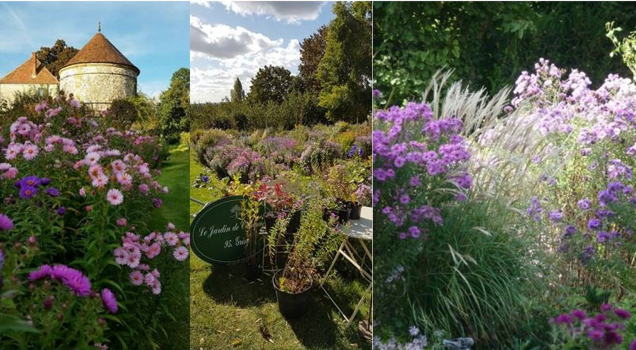 Le jardin de campagne