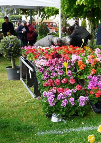 Marché aux fleurs de Grisy-les-Plâtres