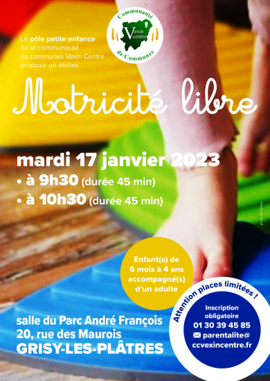 Atelier de motricité libre du 170123