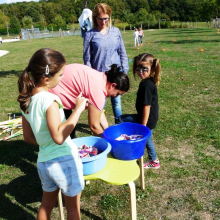 Samedi 8 septembre 2018, fête communale de Grisy-les-Plâtres : reportage photographique