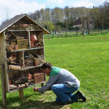 Hôtel des insectes du Parc "Loisirs et sports"