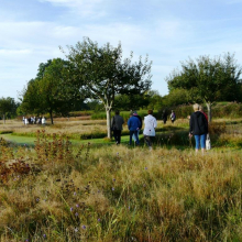 JEV : reportage sur la visite du "Jardin Plume" le 23 septembre 2017