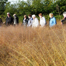 JEV : reportage sur la visite du "Jardin Plume" le 23 septembre 2017