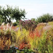 JEV : reportage sur la visite du "Jardin Plume" le 23 septembre 2017