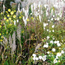 JEV : reportage sur la visite du "Jardin Plume" le 23 septembre 2017