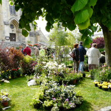 Je jardine mon village n°1