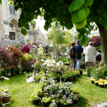 Je jardine mon village n°1