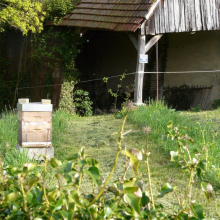 Biodiversité : ruche déposée gracieusement par un apiculteur local, sur la prairie fleurie du rondpoint du village.