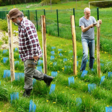 Plantation de vignes à Grisy-les-Plâtres