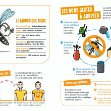 Ne laissons pas le moustique tigre s'installer : les bons gestes.