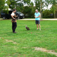 Fête communale de Grisy : spectacle de volerie