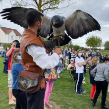 Fête communale de Grisy : spectacle de volerie