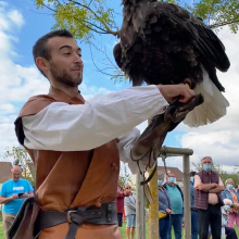 Fête communale de Grisy : spectacle de volerie