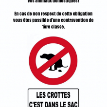 Recrudescence de déjections canines non ramassées sur le territoire communal de Grisy.