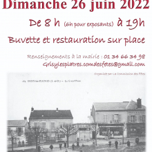 Dimanche 26 juin : brocante annuelle à Grisy-les-Plâtres.
