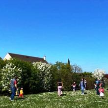 Samedi 16 avril 2022 : 1ère chasse aux oeufs à Grisy-les-Plâtres 