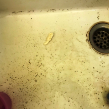 Vols et vandalisme gratuit à l'école maternelle de Grisy-les-Plâtres.