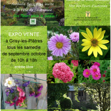 Journées expo-ventes à la pépinière " Jardin de campagne " à Grisy-les-Plâtres. 