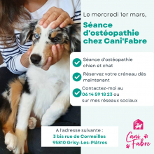 Mercredi 1er mars : au salon de toilettage Cani Fabre : rendez vous avec une ostéopathe animalier.