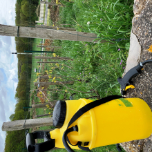 Réveil de la vigne de Grisy : reportage sur les premiers traitements de printemps