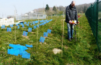 Plantation de vignes à Grisy-les-Plâtres