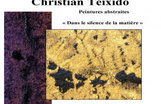 Le peintre grisylien " C TEIXIDO " expose : dans le silence de la matière.