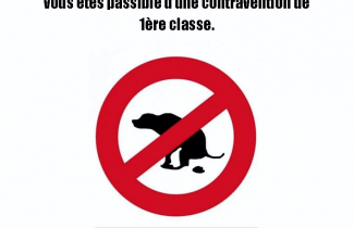 Recrudescence de déjections canines non ramassées sur le territoire communal de Grisy.