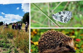 Des ateliers pour bien vivre au naturel ! 