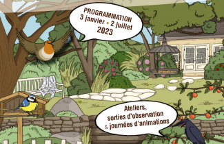 Exposition sur les osieaux au musée du Vexin.