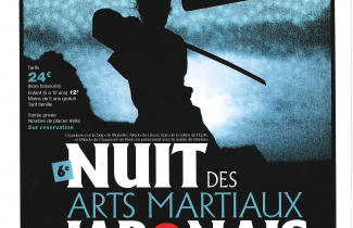 Samedi 1er juillet : 6ème nuit des Arts martiaux à Marines