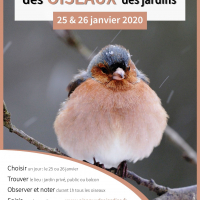 Comptage des oiseaux 25 et 26 janvier 2020.