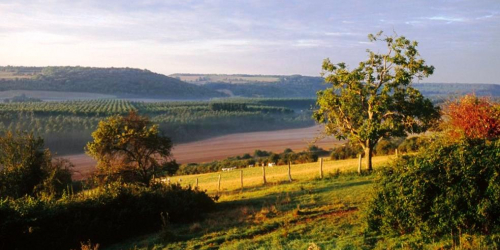 Parc naturel régional du Vexin français