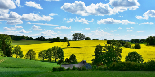 Parc naturel régional du Vexin français