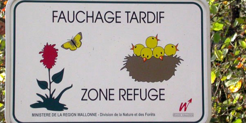 Fauchage tardif