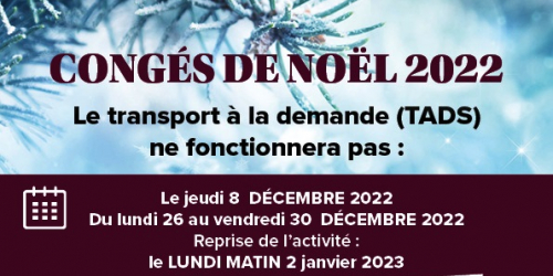 Congés de Noël du TAD en 22